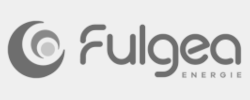 logo_fulgea